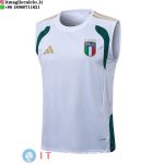 Senza Maniche Maglia Italia 2026 Bianco Verde Senza Maniche Maglia Italia 2026 Bianco Verde