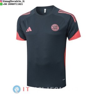 Formazione Maglia Bayern Monaco 2025/2026 Grigio Arancione