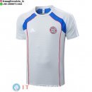 Formazione Maglia Bayern Monaco 2025/2026 Grigio Blu