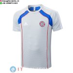 Formazione Maglia Bayern Monaco 2025/2026 Grigio Blu Formazione Maglia Bayern Monaco 2025/2026 Grigio Blu