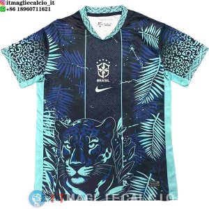 Thailandia Maglia Brasile Speciale 2026 Blu Verde