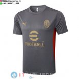 Formazione Maglia AC Milan 2025/2026 Grigio