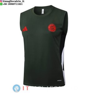 Senza Maniche Maglia Bayern Monaco 2025/2026 Verde Navy