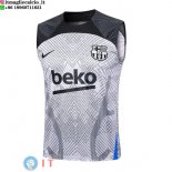 Senza Maniche Maglia Barcellona 2023/2024 Grigio Nero