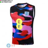 Senza Maniche Maglia Inghilterra 2026 Blu Rosa