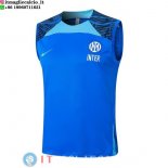 Senza Maniche Maglia Inter Milan 2024/2025 Blu