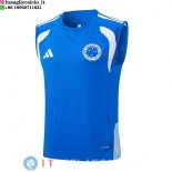 Senza Maniche Maglia Cruzeiro 2026/2027 Blu Bianco