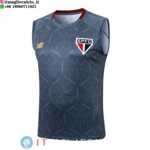Senza Maniche Maglia São Paulo 2025/2026 Grigio