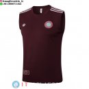 Senza Maniche Maglia Bayern Monaco 2025/2026 Borgogna