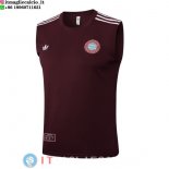 Senza Maniche Maglia Bayern Monaco 2025/2026 Borgogna Senza Maniche Maglia Bayern Monaco 2025/2026 Borgogna