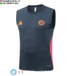 Senza Maniche Maglia Bayern Monaco 2025/2026 Grigio Navy Senza Maniche Maglia Bayern Monaco 2025/2026 Grigio Navy