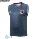 Senza Maniche Maglia São Paulo 2025/2026 Grigio