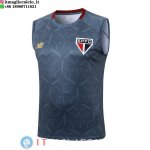 Senza Maniche Maglia São Paulo 2025/2026 Grigio
