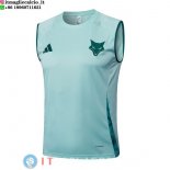 Senza Maniche Maglia Cruzeiro 2025/2026 I Verde Senza Maniche Maglia Cruzeiro 2025/2026 I Verde