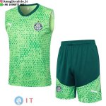 Senza Maniche Set Completo Maglia Palmeiras 2025/2026 Verde