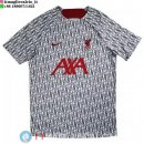 Formazione Maglia Liverpool 2023/2024 Grigio