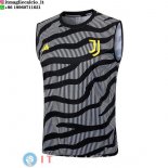 Senza Maniche Maglia Juventus 2023/2024 Grigio Nero Giallo