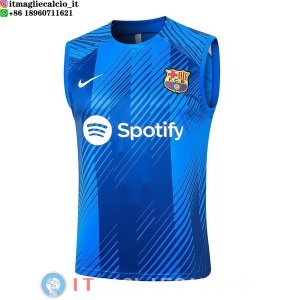 Senza Maniche Maglia Barcellona 2023/2024 Blu Bianco
