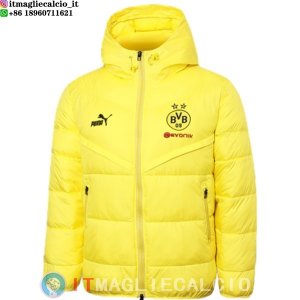 Giacca in Cotone Borussia Dortmund 23-24 Giallo