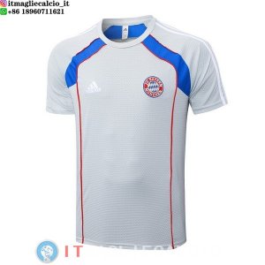 Formazione Maglia Bayern Monaco 2025/2026 Grigio Blu