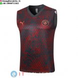 Formazione Maglia Manchester city 2023/2024 Rosso Grigio