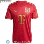 Thailandia Maglia Bayern Monaco Speciale 2024/2025 Rosso