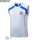 Senza Maniche Maglia Bayern Monaco 2025/2026 Grigio Blu