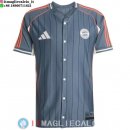 Thailandia Maglia Bayern Monaco Speciale 2025/2026 Grigio