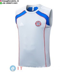 Senza Maniche Maglia Bayern Monaco 2025/2026 Grigio Blu