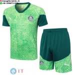 Formazione Maglia Set Completo Palmeiras 2025/2026 Verde