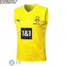 Senza Maniche Maglia Borussia Dortmund 2023/2024 Giallo Nero