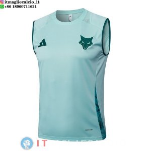 Senza Maniche Maglia Cruzeiro 2025/2026 I Verde
