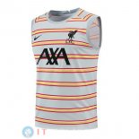 Senza Maniche Maglia Liverpool 2022/2023 Grigio Luce