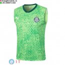 Senza Maniche Maglia Palmeiras 2025/2026 Verde