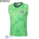 Senza Maniche Maglia Palmeiras 2025/2026 Verde Senza Maniche Maglia Palmeiras 2025/2026 Verde