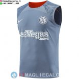 Senza Maniche Maglia Inter Milan 2023/2024 Grigio