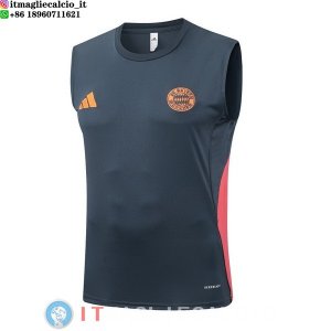 Senza Maniche Maglia Bayern Monaco 2025/2026 Grigio Navy