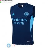 Senza Maniche Maglia Arsenal 2025/2026 Blu Navy Senza Maniche Maglia Arsenal 2025/2026 Blu Navy