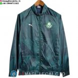 Giacca A Vento Palmeiras 2023/2024 Verde