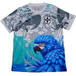 Thailandia Maglia Brasile Speciale 2025 Bianco Blu Thailandia Maglia Brasile Speciale 2025 Bianco Blu