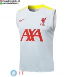 Senza Maniche Maglia Liverpool 2024/2025 Grigio Giallo