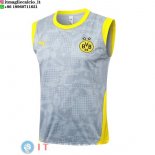Senza Maniche Maglia Borussia Dortmund 2026/2027 Grigio Giallo Senza Maniche Maglia Borussia Dortmund 2026/2027 Grigio Giallo