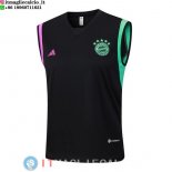 Senza Maniche Maglia Bayern Monaco 2023/2024 Nero Purpureo Verde