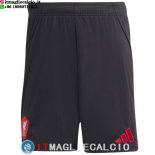 Thailandia Maglia Liverpool Pantaloni Seconda 2025/2026