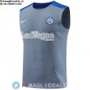 Senza Maniche Maglia Inter Milan 2024/2025 Grigio Blu