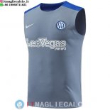 Senza Maniche Maglia Inter Milan 2024/2025 Grigio Blu
