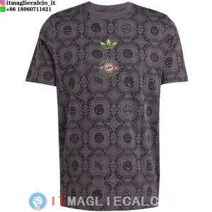 Thailandia Maglia Bayern Monaco Speciale 2025/2026 Grigio Navy
