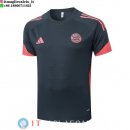 Formazione Maglia Bayern Monaco 2025/2026 Grigio Arancione