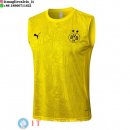 Senza Maniche Maglia Borussia Dortmund 2024/2025 Grigio