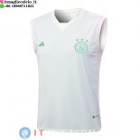 Senza Maniche Maglia Ajax 2023/2024 Verde Luce